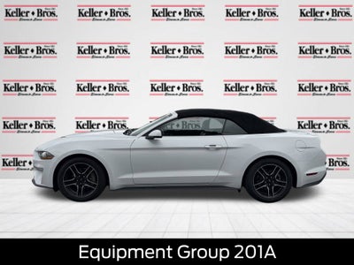 2019 Ford Mustang EcoBoost Premium