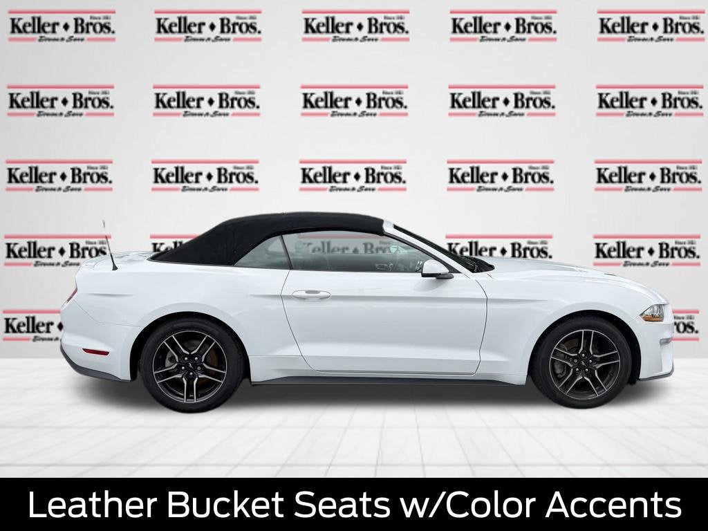 2019 Ford Mustang EcoBoost Premium