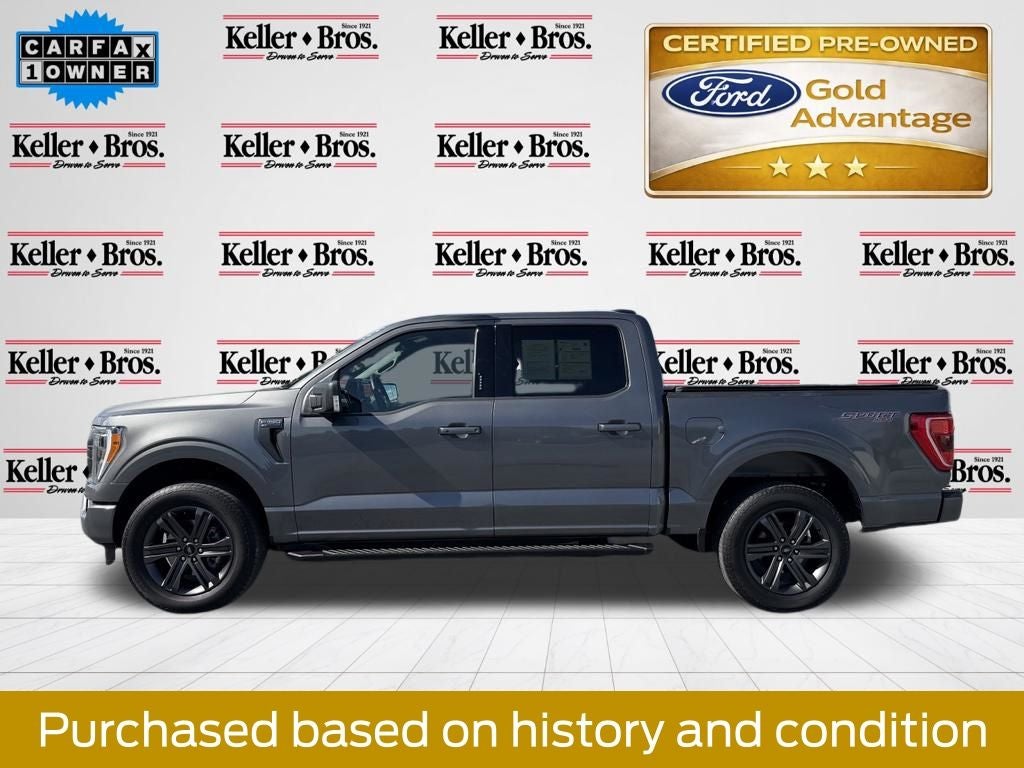 2023 Ford F-150 XLT